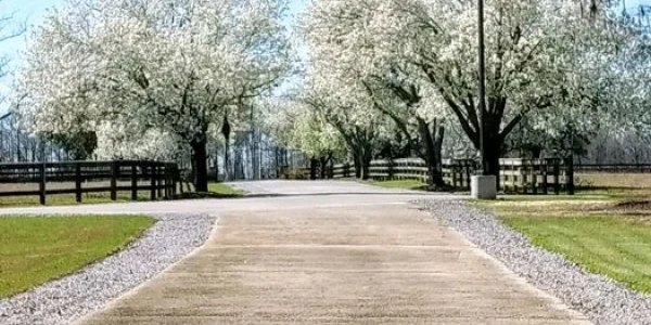 Waypoint Recovery Center